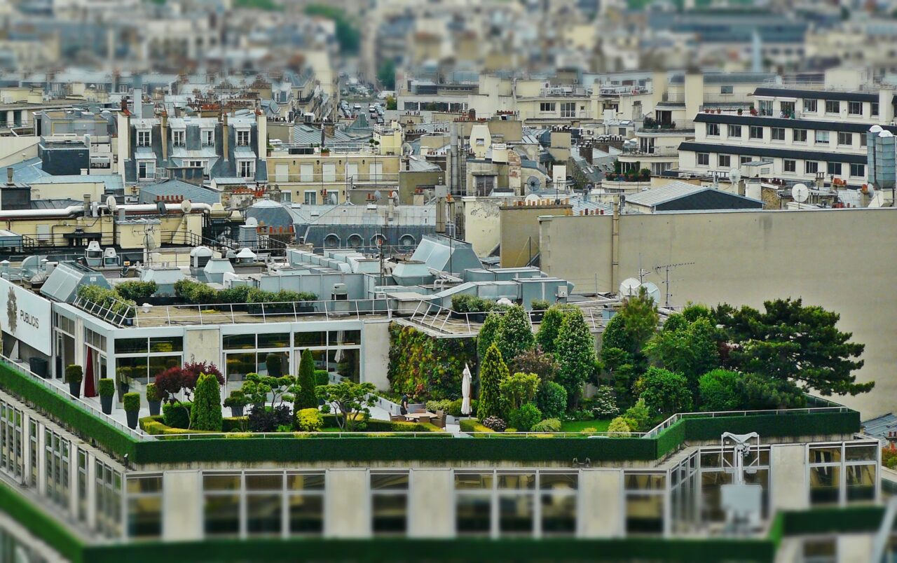 Comment faire un rooftop ? Zenatmo